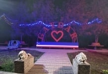 Поздравление примара с новым годом и подведение итогов 2019