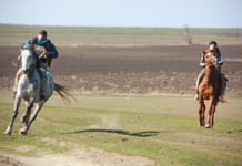 «AY TODUR — 2023» в селе Гайдар .