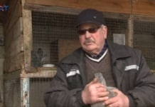 Житель села Гайдар Федор Балканы , который с детства занимается выращиванием кроликов. В силу своей профессии он знает об этих животных все и с удовольствием поделился своими знаниями .