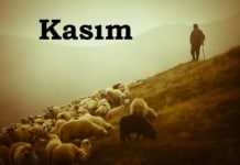 ПОЗДРАВЛЯЕМ ВСЕХ С ГАГАУЗСКИМ НАЦИОНАЛЬНЫМ ПРАЗДНИКОМ «КАСЫМ» И «ДНЁМ ДМИТРИЯ»!