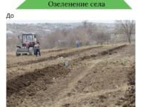 Значительный вклад в озеленение и улучшение экологии села Гайдар — посадка 296 деревьев!!!