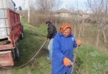 Продолжаются работы по озеленению села Гайдар!!!