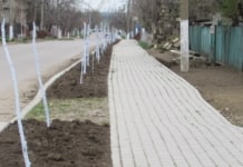 В селе Гайдар 02 апреля 2025 года по улице Ленина проведены работы по благоустройству!