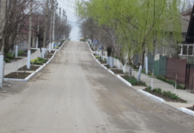 Уважаемые жители с . Гайдар! Субботник успешно состоялся!