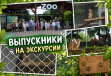 Выпускной подарок мечты — юные жители села посетили зоопарк г. Кишинев!